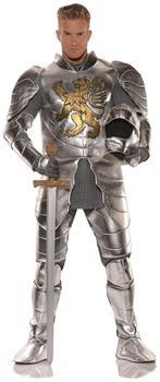 Knight in Shining Armor Adult Costume
