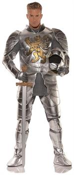 Knight in Shining Armor Adult Costume