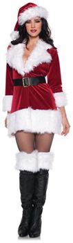 Sexy Secret Santa Costume Set Adult