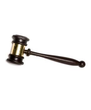 Judges Gavel Plastic Costume Accessory