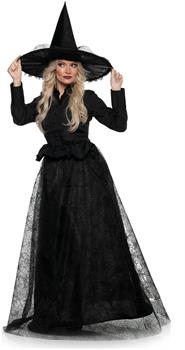 Wicked Witch Adult Costume