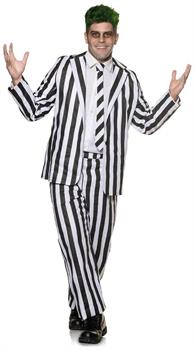 Spooky Striped Suit Adult Costume