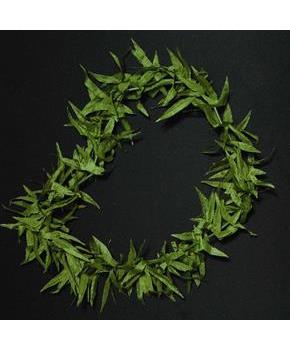 Jamaican Costume Lei