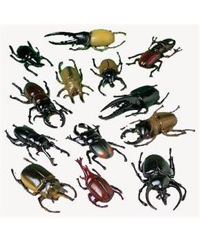 Bugs (Include 12 Units)