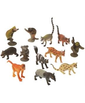 Rain Forest Animals (Include 12 Units)