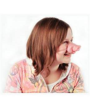 Pig Noses (Include 12 Units)
