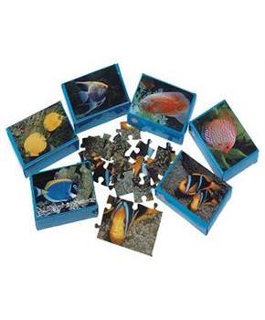 Fish Puzzles (Include 12 Units)