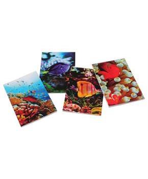 CORAL REEF MEMO PADS (include 12 units)