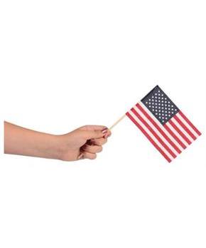 Usa Flags/4X6-Cloth (Include 12 Units)