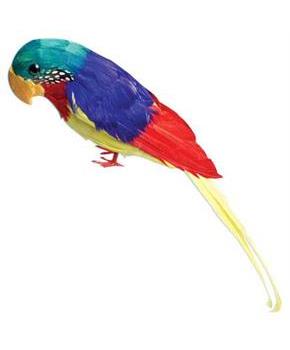 Feather Parrot (Include 1 Units)