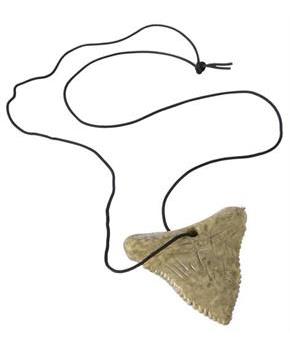 Shark Tooth Necklaces (Include 12 Units)