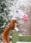 Unicorn Head Squirrel Feeder