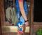 Sonic The Hedgehog Collector Plush Toy Clip-On | 8 Inches Tall