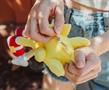 Sonic the Hedgehog 8-Inch Character Plush Toy | Super Sonic