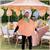 Inflatable Peach Adult Costume | One Size