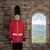 Guardsman Adult Costume