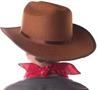 Aeromax Junior Cowboy Costume Hat with Bandanna