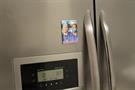 Scrubs JD and Turk Bromance 2.5 x 3.5 Inch Magnet