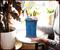 Geeki Tikis Doctor Who TARDIS Ceramic Mug | Holds 42 Ounces