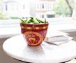Year Of The Snake Chinese Zodiac 16-Ounce Ramen Bowl and Chopstick Set