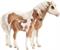 Breyer Misty & Stormy Model & Book Set