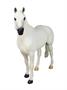 Breyer 1:9 Traditional Series Model Horse: Snowman (Show Jumper)