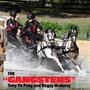 Breyer Traditional 1:9 Scale Model Horse Set | The Gangsters