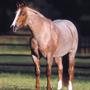 Breyer Traditional 1:9 Scale Model Horse | Peptoboonsmal | Champion Cutting Horse