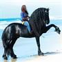Breyer Traditional 1:9 Scale Model Horse | Sjoerd