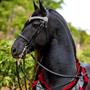 Breyer Traditional 1:9 Scale Model Horse | Sjoerd