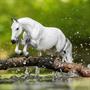 Breyer Traditional 1:9 Scale Model Horse | Get Rowdy