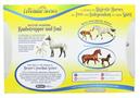 Breyer Freedom Series 1:12 Scale Model Horse Set | Spotted Wonders