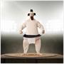 Sumo Wrestler Adult Costume One Size Fits Most