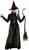 Gothic Witch Adult Costume