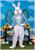 Deluxe Easter Bunny Adult Costume