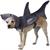 The Great White Bark Dog Costume