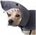 The Great White Bark Dog Costume