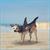 The Great White Bark Dog Costume