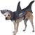 The Great White Bark Dog Costume