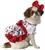 Hello Kitty Pop Icon Pet Dog Costume