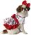 Hello Kitty Pop Icon Pet Dog Costume