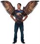 Eagle Bird Of Prey Costume Wings | One Size Fits Most