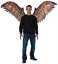 Eagle Bird Of Prey Costume Wings | One Size Fits Most