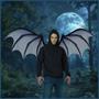 Vampire Monster Costume Wings | One Size Fits Most