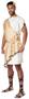 Greek God Toga Plus Size Adult Costume