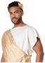 Greek God Toga Plus Size Adult Costume