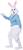 Adult Deluxe Easter Bunny Plus Size Costume