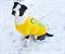 Adventure Time "Jake Saliva" Pet T-Shirt
