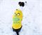 Adventure Time "Jake Saliva" Pet T-Shirt