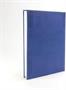 BioShock Rapture 232-Page Hardcover Journal